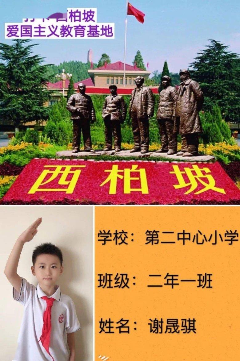 史小坑的爆笑生活12